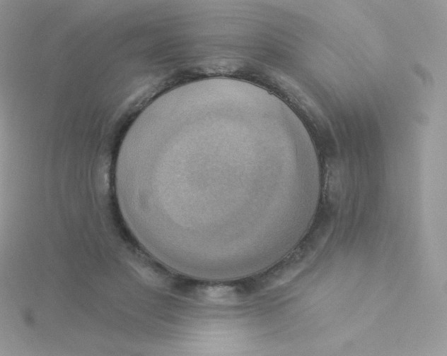 X0000115330501200911231415