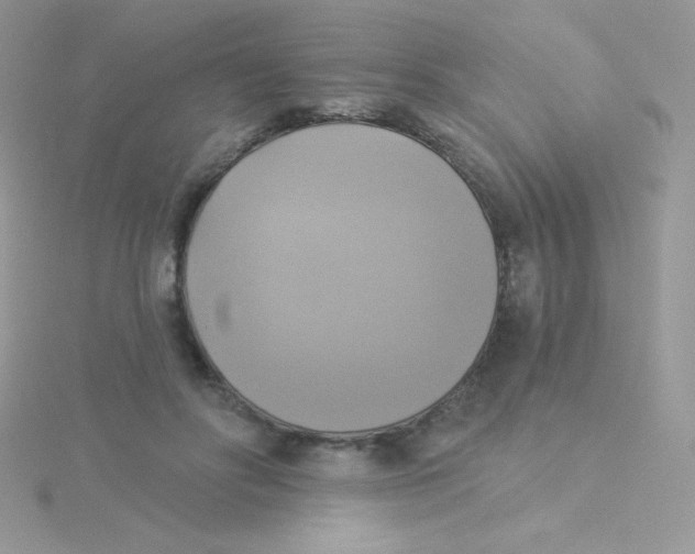 X0000115330502200911231415