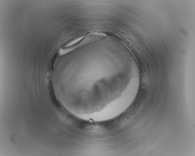 X0000115330503200911231415