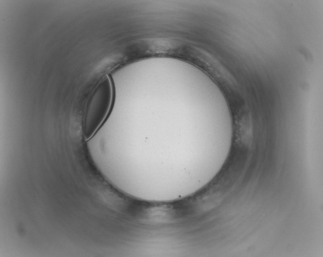 X0000115330505200911231415