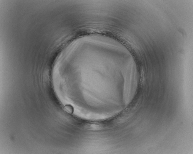 X0000115330506200911231415