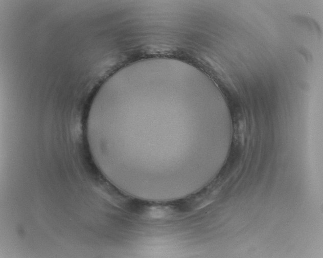 X0000115330508200911231415