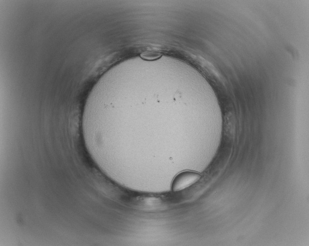 X0000115330509200911231415