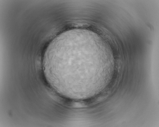 X0000115330510200911231415