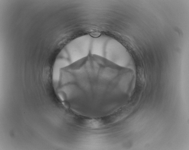 X0000115330511200911231415