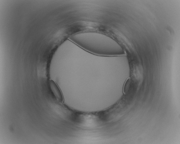 X0000115330512200911231415