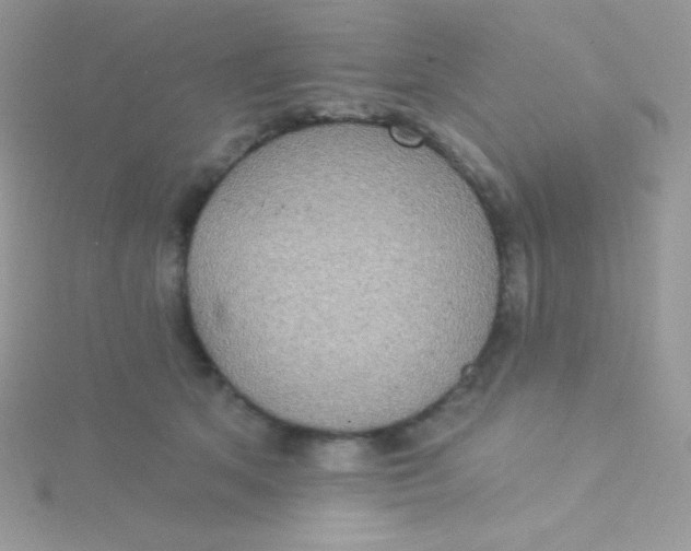 X0000115330513200911231415