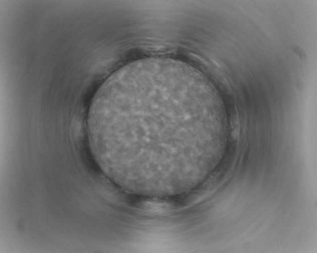 X0000115330515200911231415