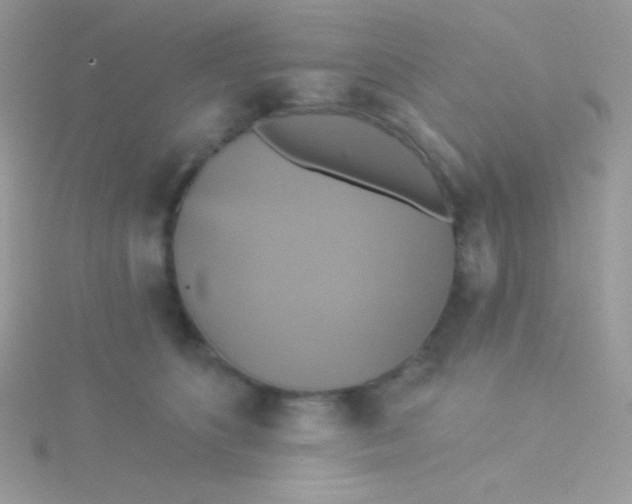 X0000115330516200911231415