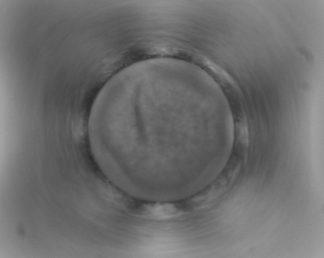 X0000115330517200911231415