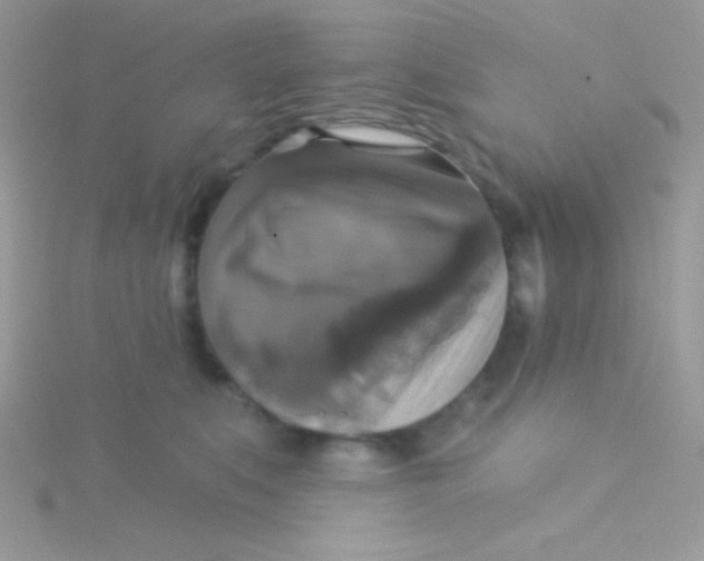 X0000115330519200911231415