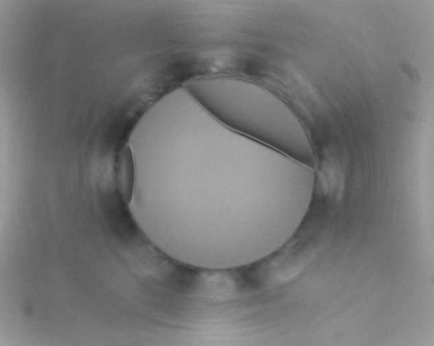 X0000115330520200911231414