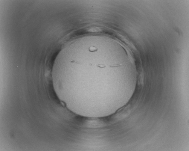 X0000115330521200911231414