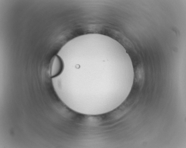 X0000115330522200911231414