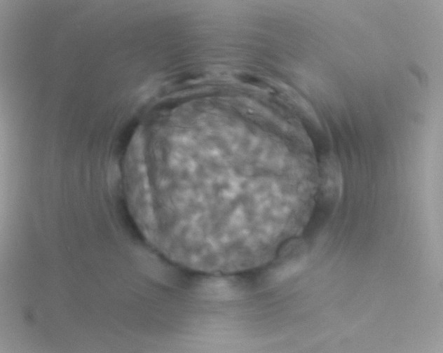 X0000115330523200911231414