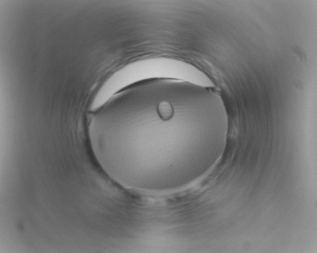 X0000115330524200911231414