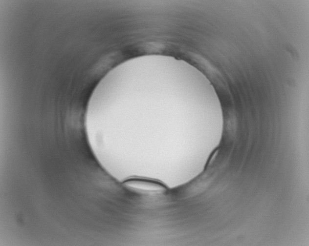 X0000115330525200911231414