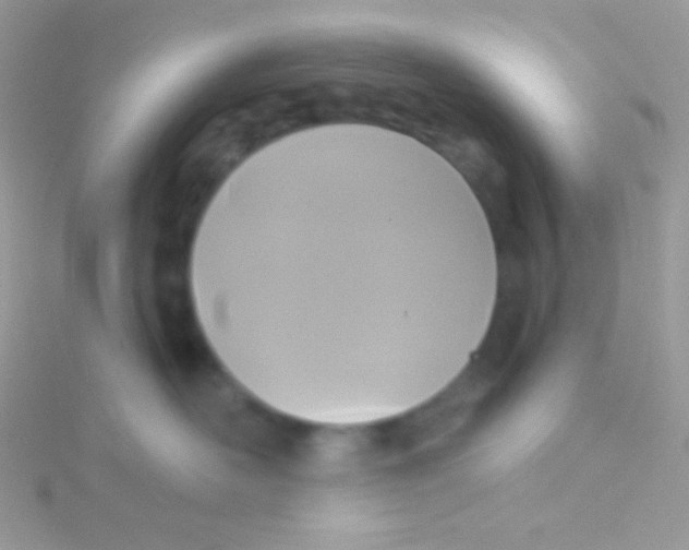 X0000115330526200911231414