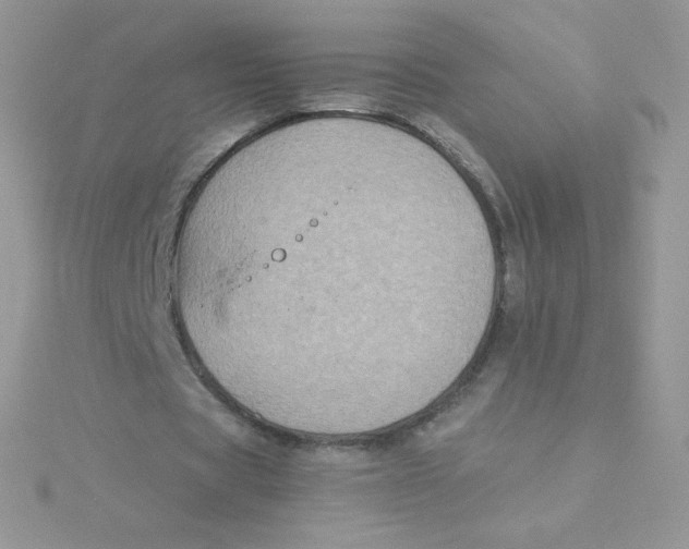 X0000115330529200911231414