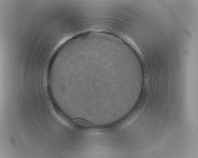 X0000115330530200911231414