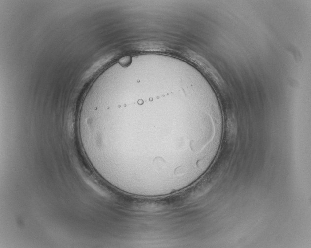 X0000115330533200911231414