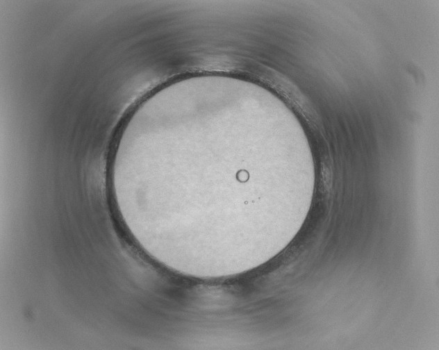 X0000115330534200911231414