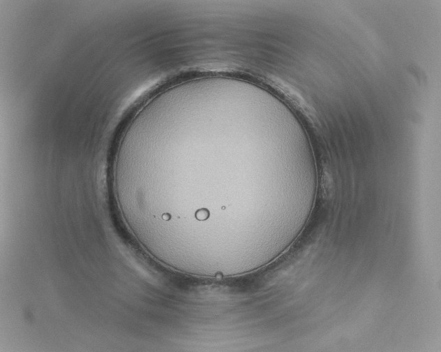 X0000115330535200911231414