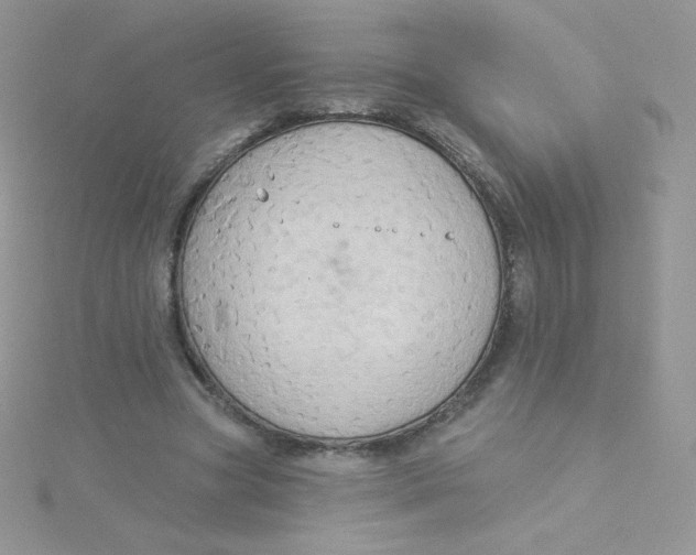 X0000115330537200911231414