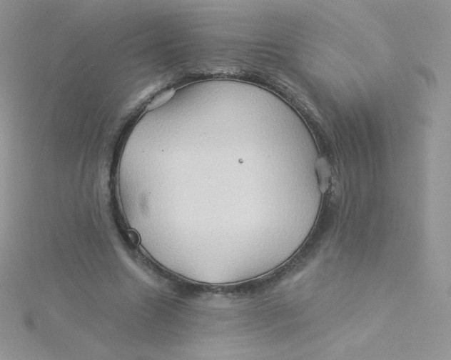 X0000115330538200911231414