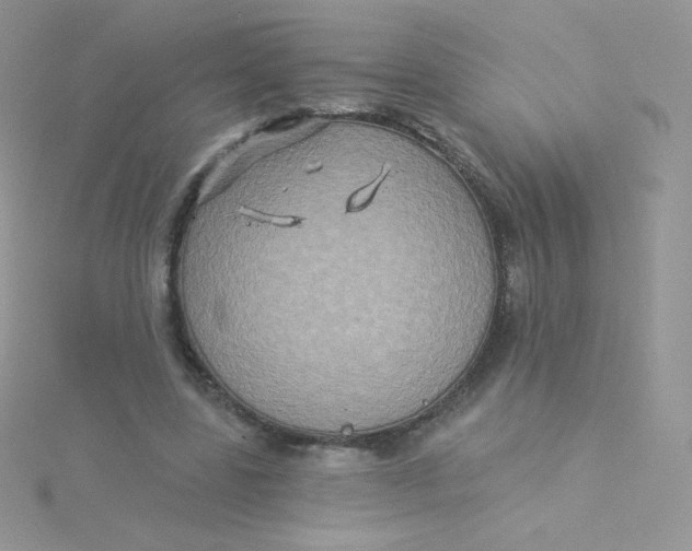 X0000115330539200911231414