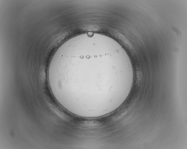 X0000115330541200911231414