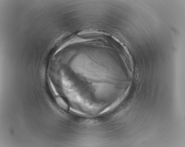 X0000115330542200911231414