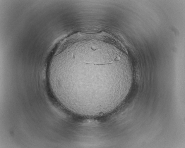 X0000115330543200911231414