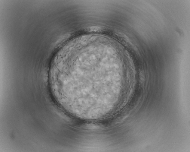 X0000115330545200911231414