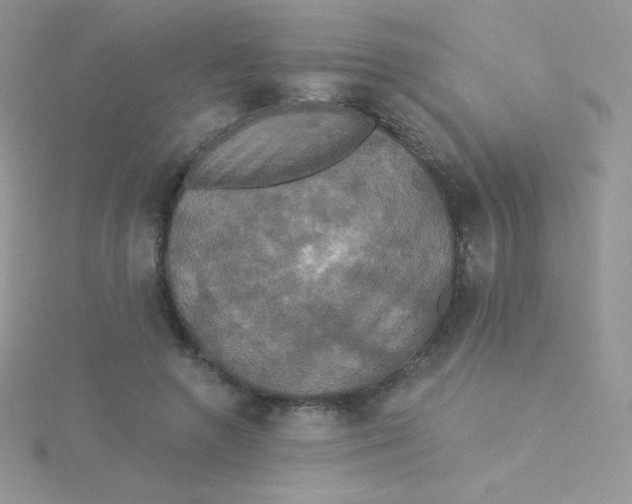 X0000115330546200911231414