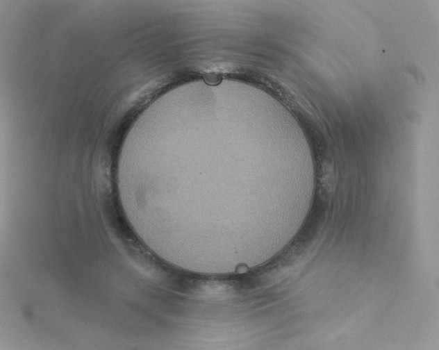 X0000115330547200911231414