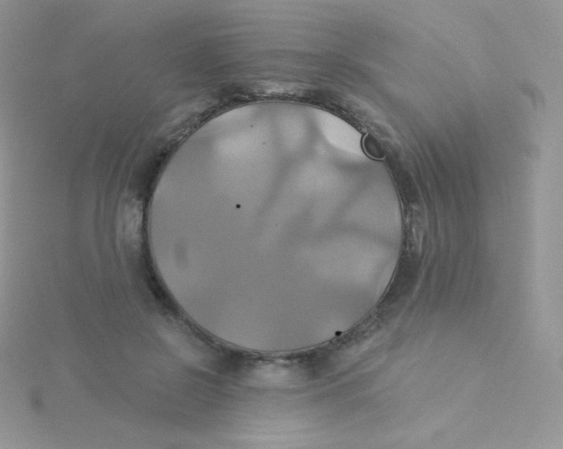 X0000115330550200911231414