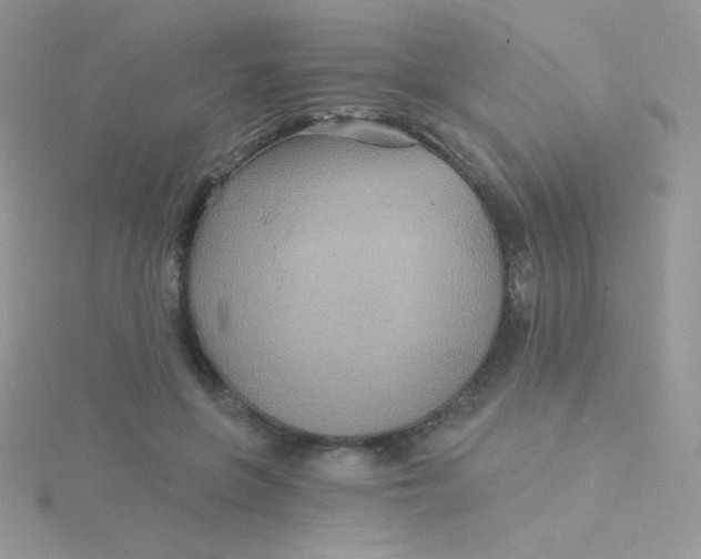 X0000115330551200911231414