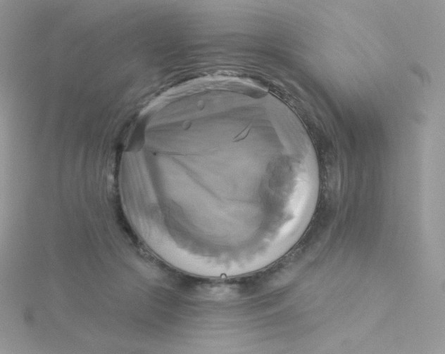 X0000115330553200911231414