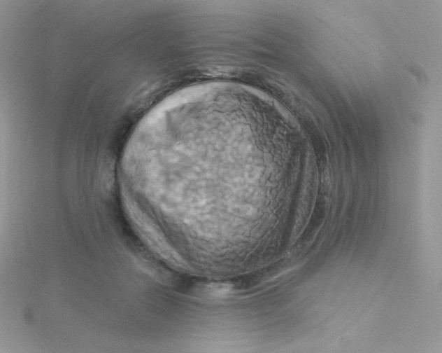 X0000115330554200911231414