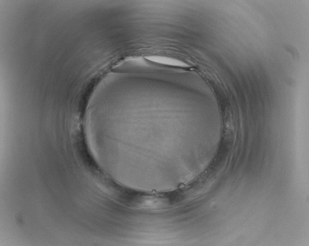 X0000115330555200911231414