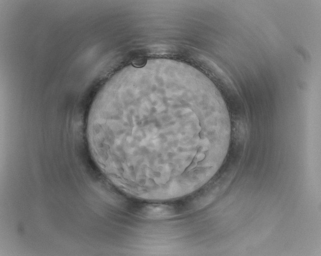 X0000115330557200911231414