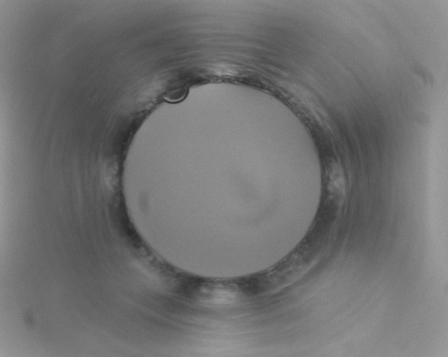 X0000115330559200911231414