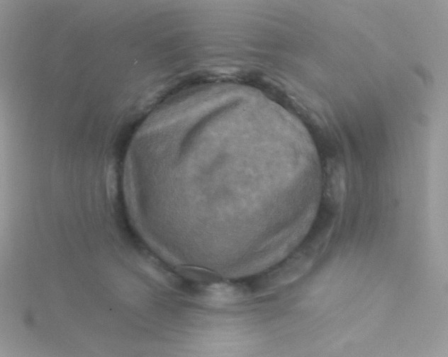 X0000115330562200911231414