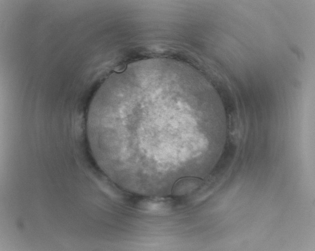 X0000115330563200911231414