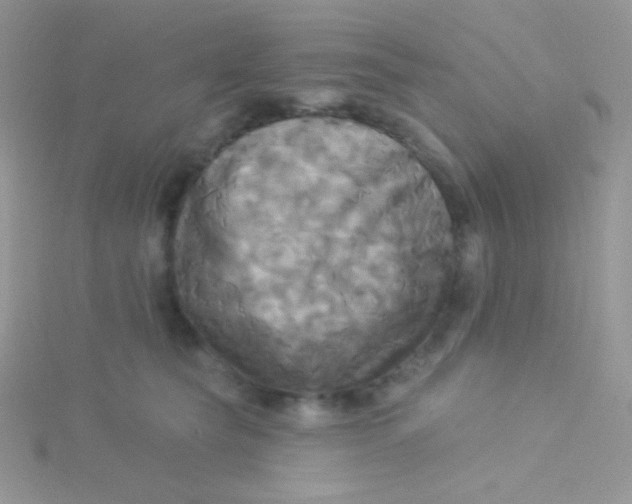 X0000115330565200911231414