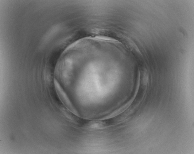 X0000115330569200911231414