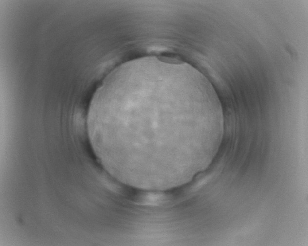 X0000115330575200911231414