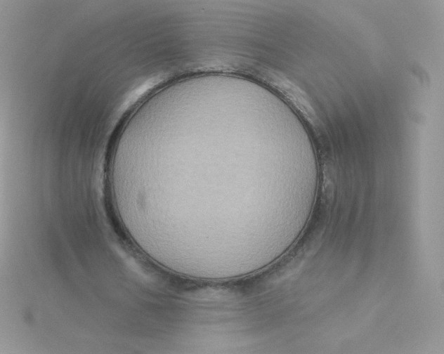 X0000115330578200911231414