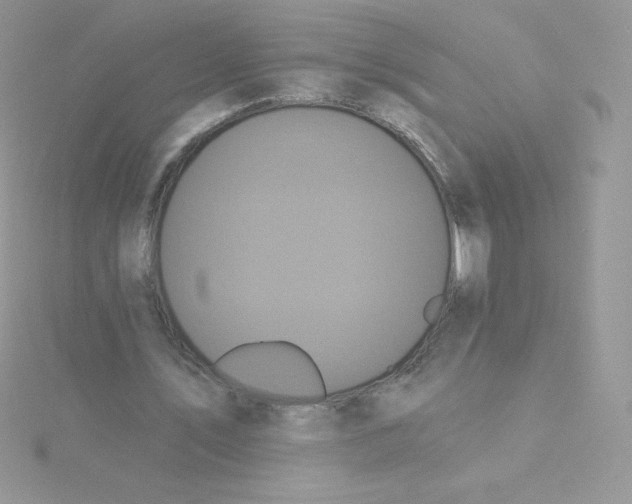 X0000115330579200911231414